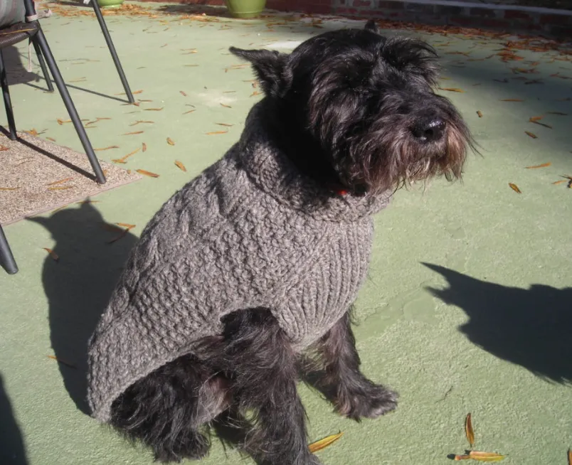 Cable knits - Grey Cable Knit Wool Dog sweater